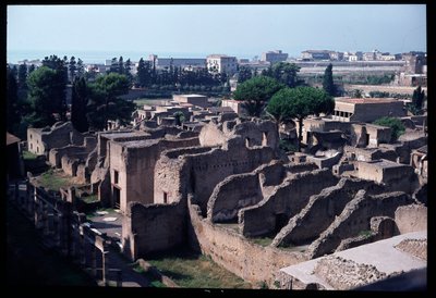 Panoramaudsigt over det arkæologiske sted, 5. århundrede f.Kr.-1. århundrede e.Kr af Roman Roman