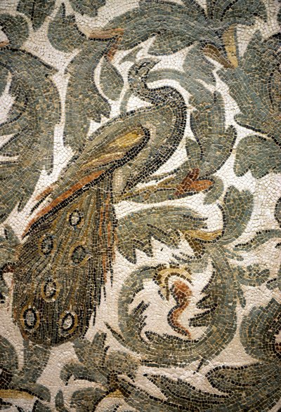 Påfugl, detalje af mosaik - 4. århundrede f.Kr., Bardo Museum, Tunis af Roman Roman