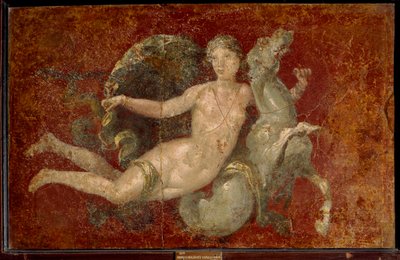 Romersk kunst: en kvinde, der rider på en havhest. Fresko fra Stabia. Napoli, Museo Archeologico Nazionale - Romersk kunst: en kvinde, der rider på en havhest. Fresko fra Stabia. Nationalt arkæologisk museum, Napoli, Italien af Roman Roman