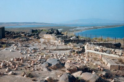 Udsigt over byen Tharros, gammel Punico-romersk havn, grundlagt af fønikerne på Sardinien, Italien af Roman Roman