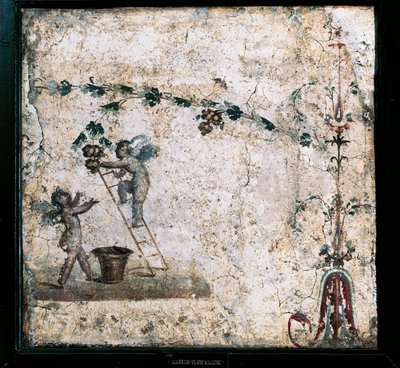 Tredje stil freskomaleri, der skildrer Amor-høst, fra Huset til Marcus Lucretius i Pompeji af Roman Roman