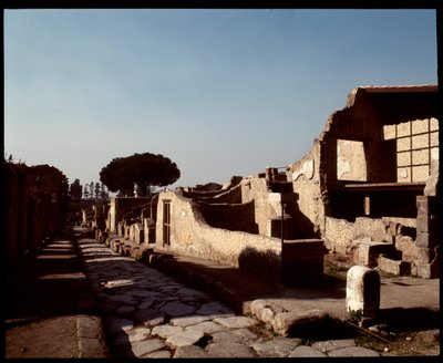 Udsigt over Decumanus Maximus, 5. århundrede f.Kr.-1. århundrede e.Kr af Roman Roman