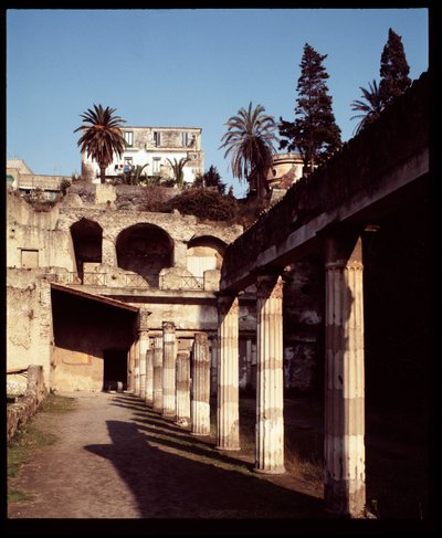 Udsigt over palestra, 5. århundrede f.Kr.-1. århundrede e.Kr af Roman Roman