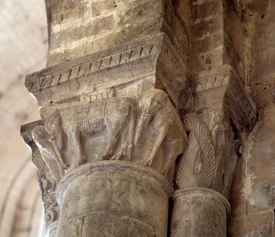 Elefanter (udskåret hovedstad i skibet af Romanesque