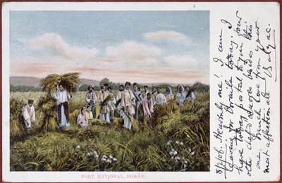 Postkort, der viser rumænske bønders høst, 1906 af Romanian School