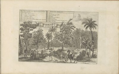 Bomen en specerijen Indiske planter, etc / Indiaensche kruyden, etc (titel på objekt) Øst- og Vestindien og andre steder (serietitel) af Romeyn de Hooghe