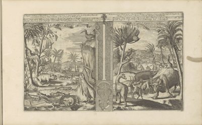 Dyren fra Vestindien West Indische Beesten / Dyr i Vestindien (titel på objekt) Øst- og Vestindien og andre steder (serietitel) af Romeyn de Hooghe