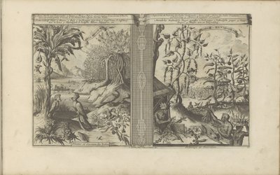 Planten, vogels og pepervelden Loua, Pineapple Musa / Plants and Birds of India // Peeper-Gewassen / Pepper Plantation (titel på objekt) Øst- og Vestindien og andre steder (serietitel) af Romeyn de Hooghe