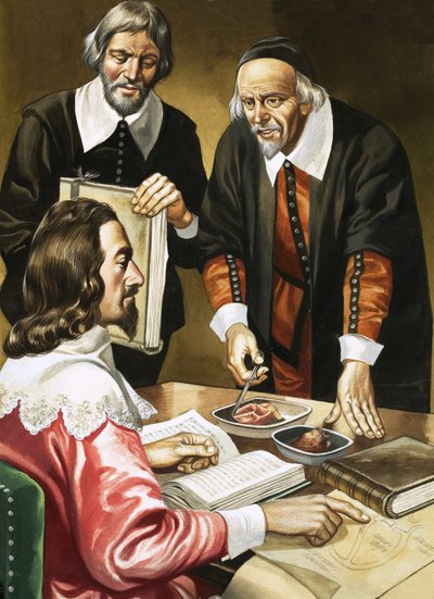 Charles I og William Harvey diskuterer hjertet af Ron Embleton