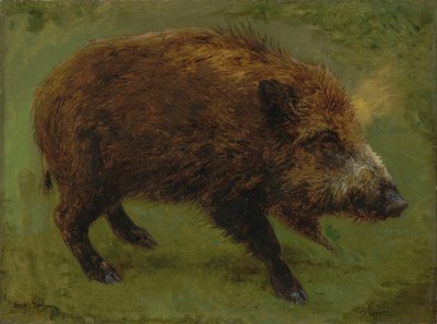 Fransk:  Le sanglier Vildsvin af Rosa Bonheur