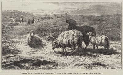 Får i et landskab, Bretagne af Rosa Bonheur