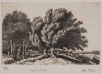Landskab af Rosalie Holm