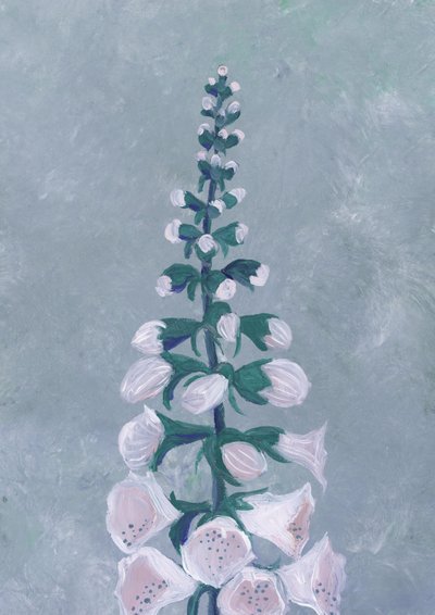 Blomst af hvid fingerbøl af Rosana Laiz Blursbyai