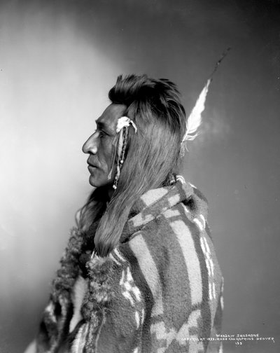 Weasaw Shoshone, ca. 1899 af Rose and Hopkins Studio