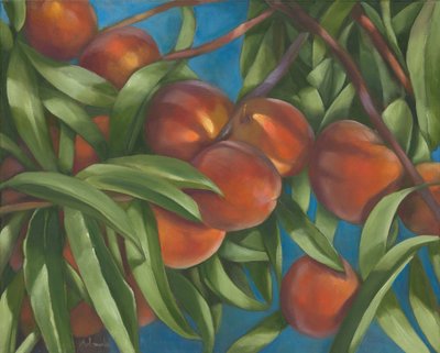 Peach Tree, 2014 (olie på lærred) af Rosemarie Adcock