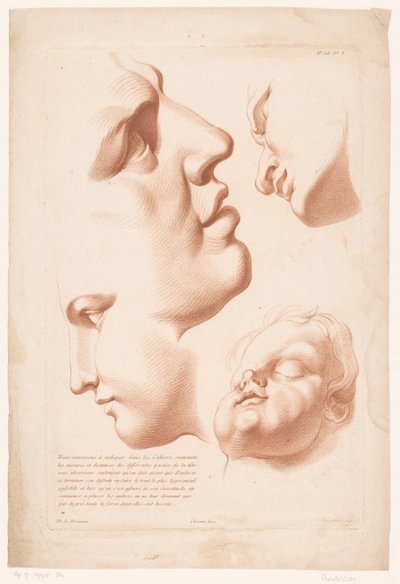 Hoveder af mand, kvinde og barn Principper for at tegne fra naturen, del to (serietitel) IIe Cahier de Principes du Design d