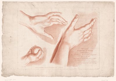 Titelbillede med tre hænder Principper for at tegne fra naturen, del otte (serietitel) VIIIe Cahier de Principes du Design d