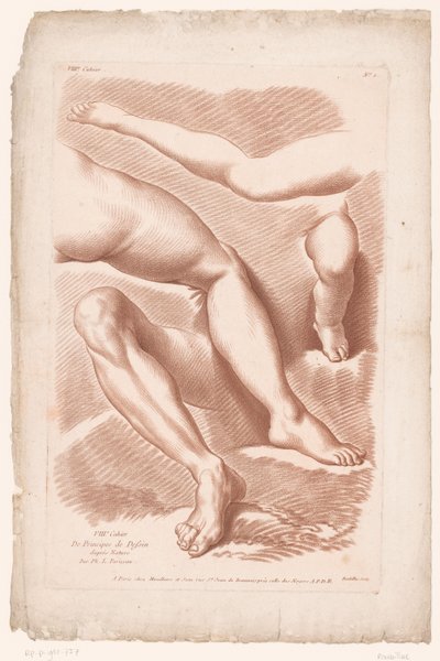 Titelbillede med fire ben i forskellige positioner Principper for at tegne fra naturen, del otte (serietitel) VIIIe Cahier de Principes du Design d