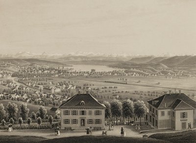 Zürich af Rudolf Dikenmann