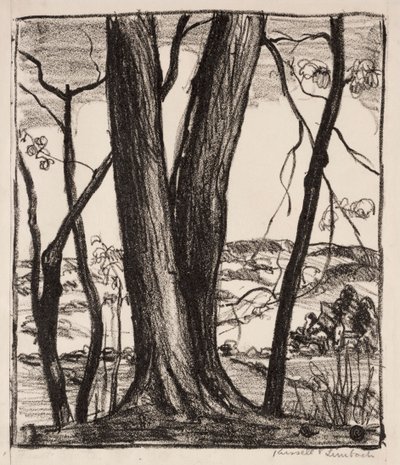 Bakketoppen af Russell T. Limbach