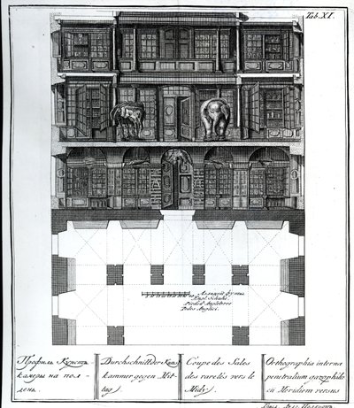 Et snitbillede af Hall of Rarities mod syd, illustration i Chambers of the St. Petersburg Imperial Academy of Sciences Library and Gallery, der viser planer, facader og profiler af Johann af Russian School