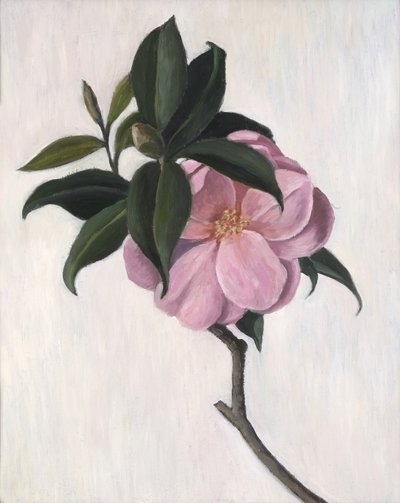 Camellia, 1998 af Ruth Addinall