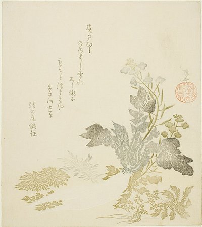 En kæmpe radise (daikon), krysantemum og bregner af Ryuryukyo Shinsai