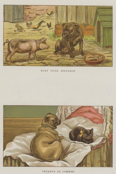 Humoristiske hunde (chromolitho) af S.T. Dadd