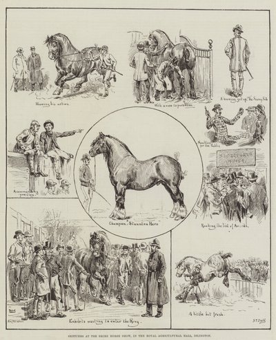 Skitser ved Shire Horse Show, i Royal Agricultural Hall, Islington af S.T. Dadd