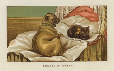 Fælles lejere af S.T. Dadd