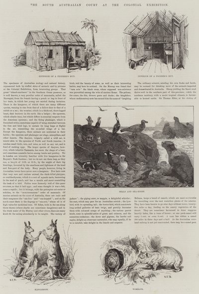 South Australian Court på Colonial Exhibition af S.T. Dadd