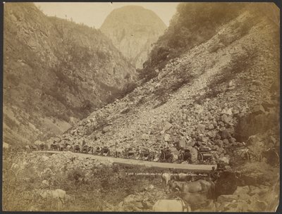 Carrioles venter ved Stalheim, Naerödal af S. E. Poulton