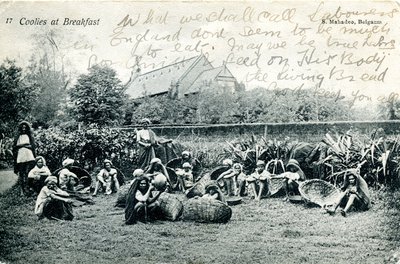 Coolies til morgenmad, ca. 1908 (s/h-billede) af S. Mahadeo