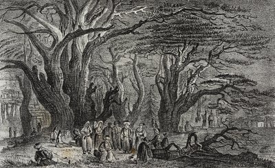 Gamle cedertræer fra Libanon i Tyrus, Libanon, litografi af Salvatore Puglia fra Poliorama Pittoresco, n 25, 28. januar af Salvatore Puglia