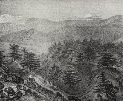 Udsigt over Mount Libanon med dets berømte cedertræer, Libanon, litografi af Salvatore Puglia fra Poliorama Pittoresco, n 10, 15. oktober af Salvatore Puglia