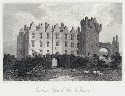 Inchmore Castle, Co Kilkenny (gravering) af Samuel (after) Austin