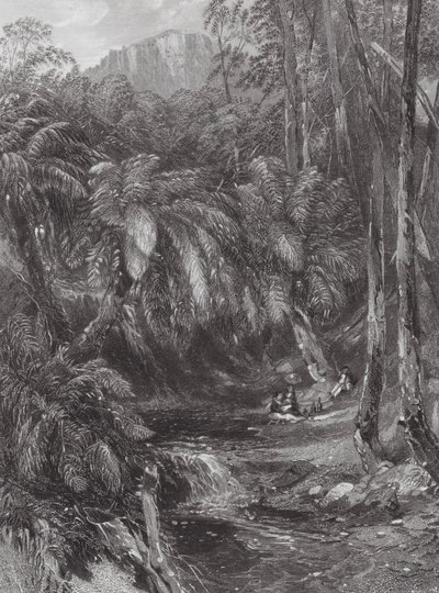 Australien: A Fern Tree Valley (gravering) af Samuel (after) Prout