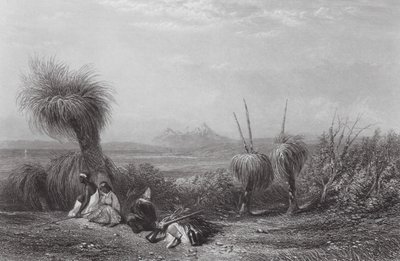 Australien: Grass Tree Plains (gravering) af Samuel (after) Prout