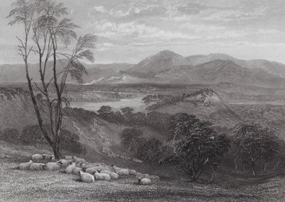 Australien: The Upper Goulburn, Victoria (kobberstik) af Samuel (after) Prout