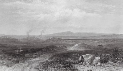 Australien: Udsigt nær Botany Bay (gravering) af Samuel (after) Prout