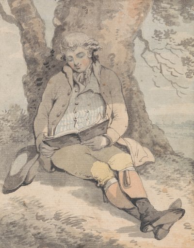 P. Wilkinson Esq. At sidde i skyggen af en eg og lære at fløjte af Samuel Alken