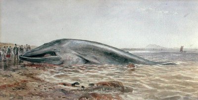 Aberlady Whale, Longriddy Bay af Samuel Bough