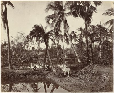 Udsigt over landsbyen i Bengalen, Indien Rustik scene og landsbyliv i Bengalen (original titel) af Samuel Bourne (signed by artist)