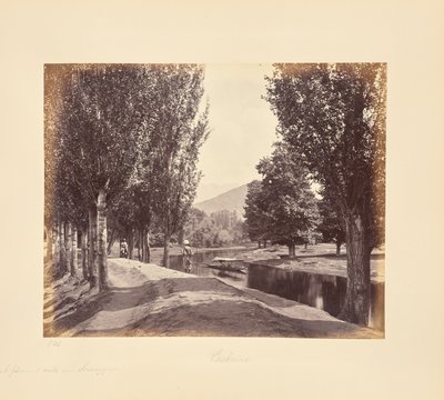  af Samuel Bourne
