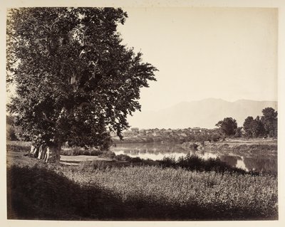 Beej Bihara var Jhelum af Samuel Bourne