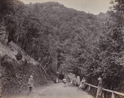 Shimla. The Mall eller hovedgaden af Samuel Bourne