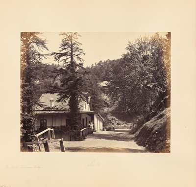 Simla; The Mall, Combermere Ridge af Samuel Bourne