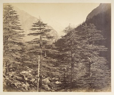Sneklædte tinder nær Gangootri fra Bhairamghati. Fotograf: Bourne, Samuel Album med fotografier af Indien, hovedsageligt af Samuel Bourne1866 af Samuel Bourne