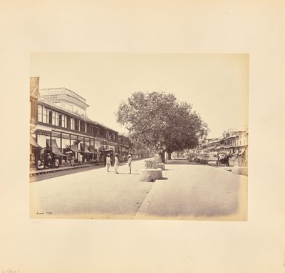 Chandni-Chouk, den vigtigste gade i Delhi af Samuel Bourne