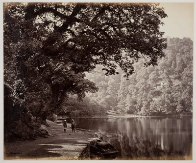 Uden titel af Samuel Bourne